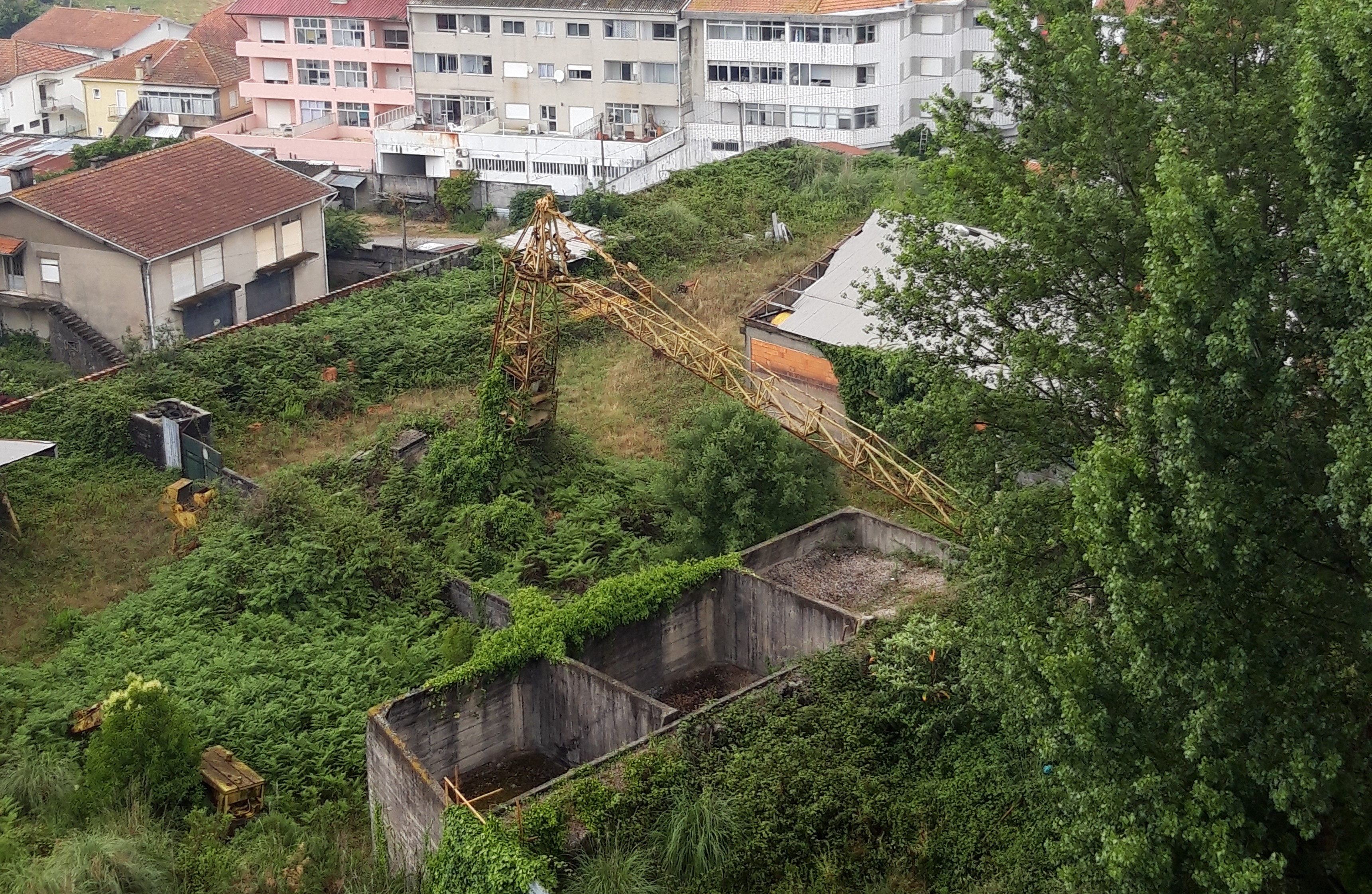 yellow abandoned construction crane in the middle of an abandoned lot, surrounded by trees 